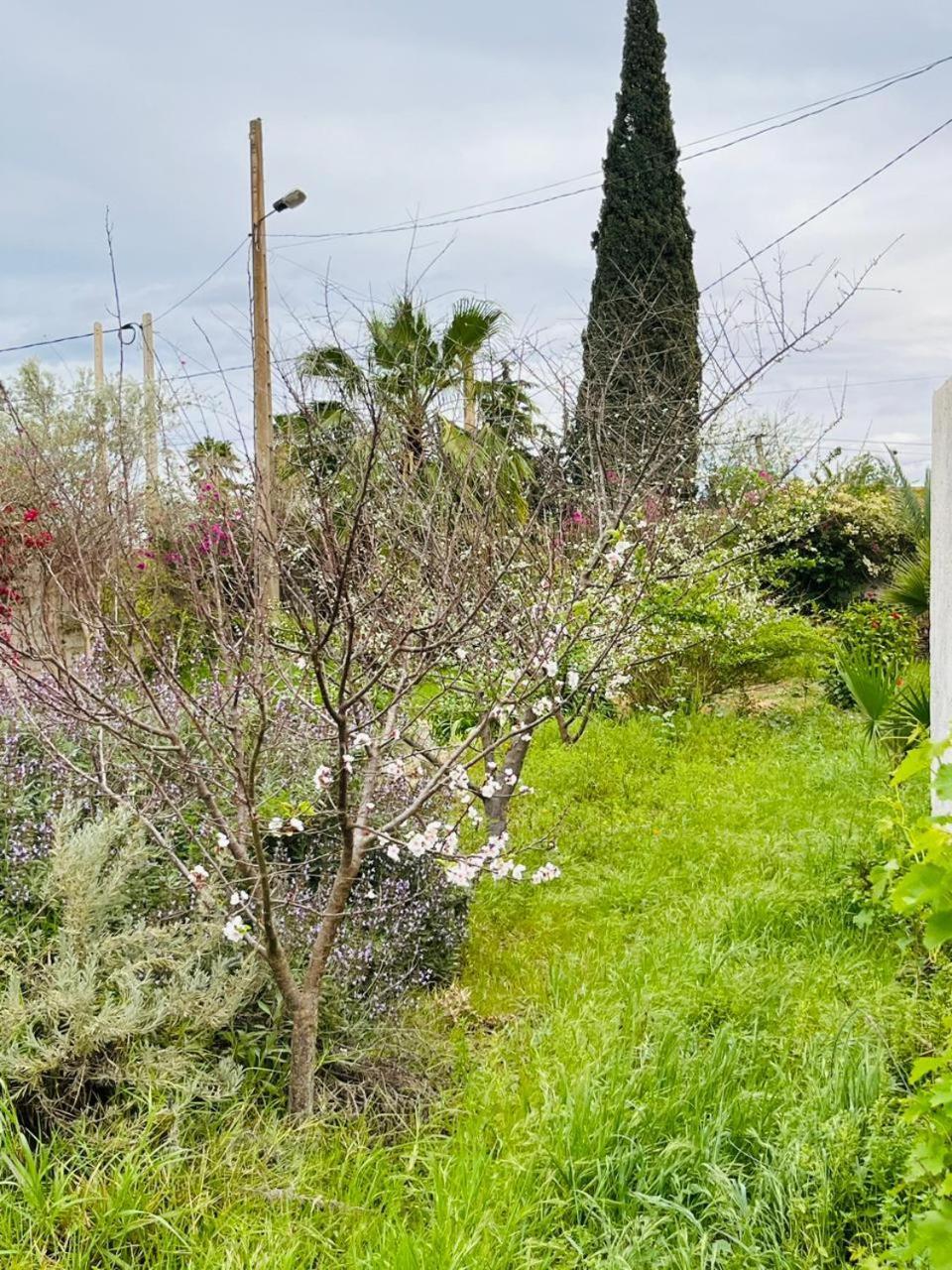 Villa Le Jasmin Oulad Bou Abdallah Kültér fotó