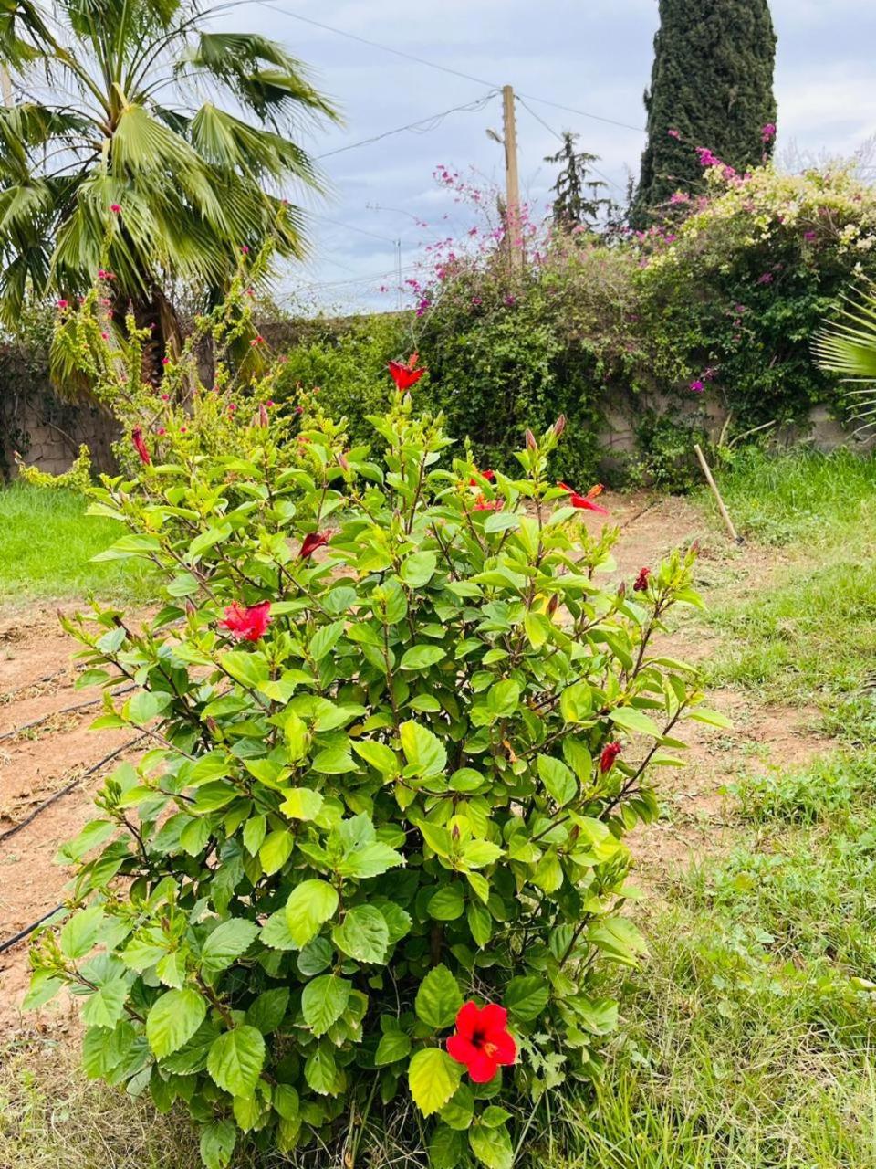 Villa Le Jasmin Oulad Bou Abdallah Kültér fotó