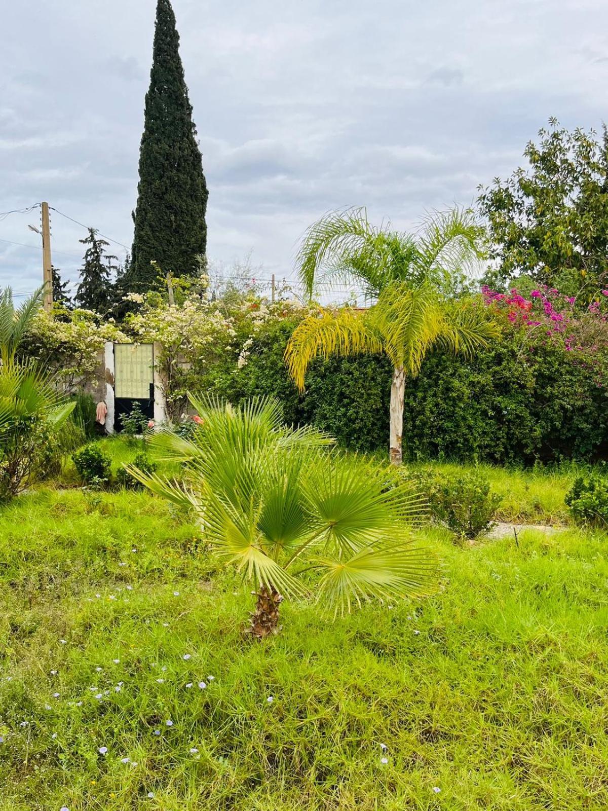 Villa Le Jasmin Oulad Bou Abdallah Kültér fotó